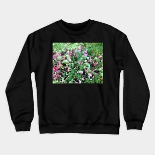 Plant textures Crewneck Sweatshirt